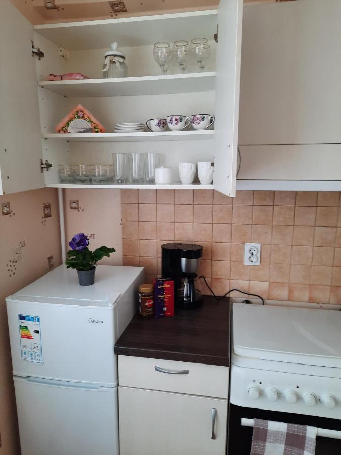 Luena Apartment Jelgava Bagian luar foto